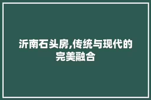 沂南石头房,传统与现代的完美融合 墙面装饰