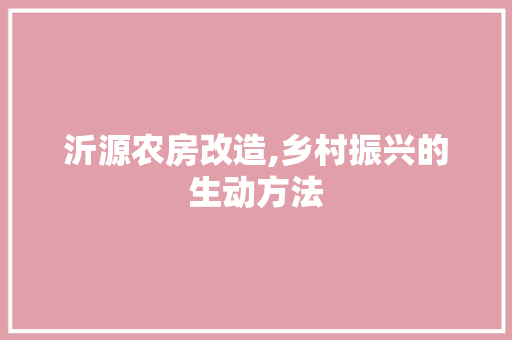 沂源农房改造,乡村振兴的生动方法 庭院装修