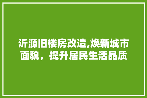 沂源旧楼房改造,焕新城市面貌，提升居民生活品质 景观设计