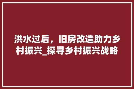洪水过后，旧房改造助力乡村振兴_探寻乡村振兴战略下的新路径