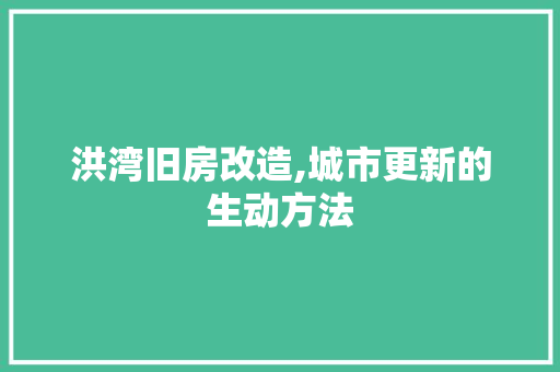 洪湾旧房改造,城市更新的生动方法