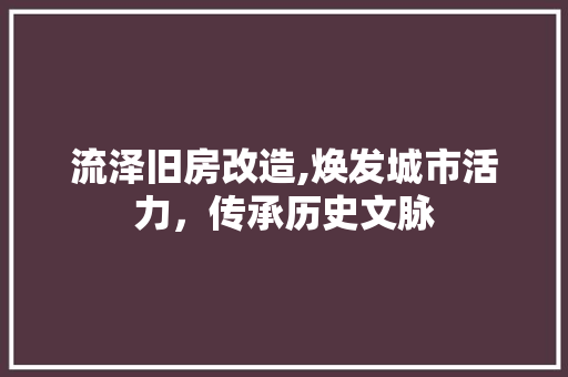 流泽旧房改造,焕发城市活力，传承历史文脉