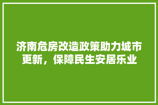济南危房改造政策助力城市更新，保障民生安居乐业