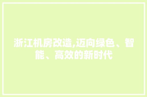 浙江机房改造,迈向绿色、智能、高效的新时代