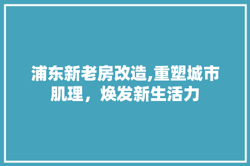 浦东新老房改造,重塑城市肌理，焕发新生活力