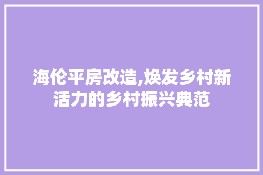 海伦平房改造,焕发乡村新活力的乡村振兴典范