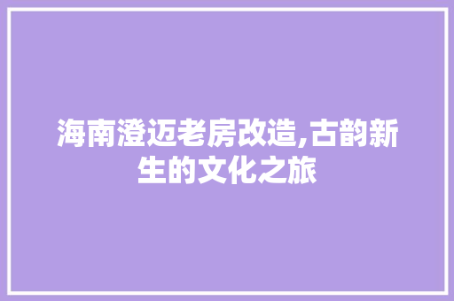 海南澄迈老房改造,古韵新生的文化之旅