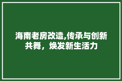 海南老房改造,传承与创新共舞，焕发新生活力