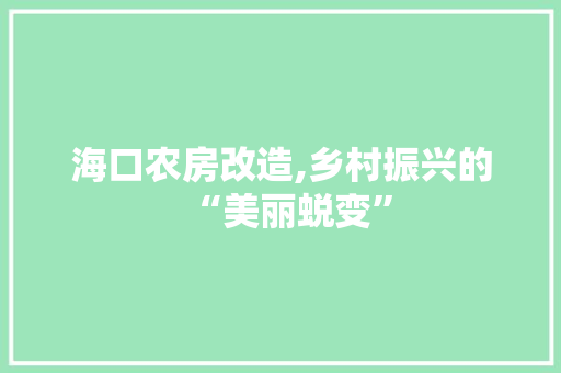 海口农房改造,乡村振兴的“美丽蜕变” 墙面装饰
