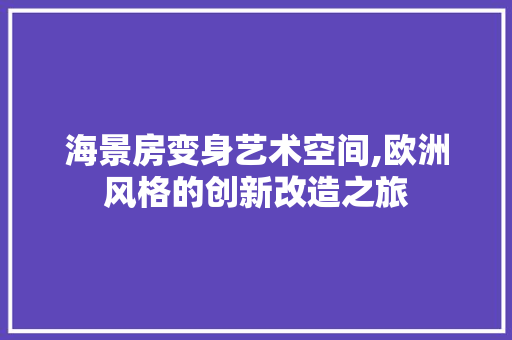 海景房变身艺术空间,欧洲风格的创新改造之旅 景观设计
