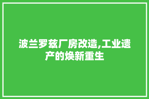 波兰罗兹厂房改造,工业遗产的焕新重生