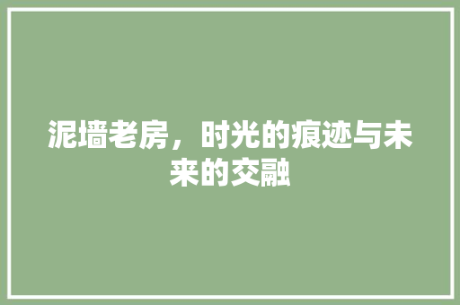 泥墙老房，时光的痕迹与未来的交融