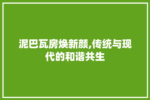 泥巴瓦房焕新颜,传统与现代的和谐共生