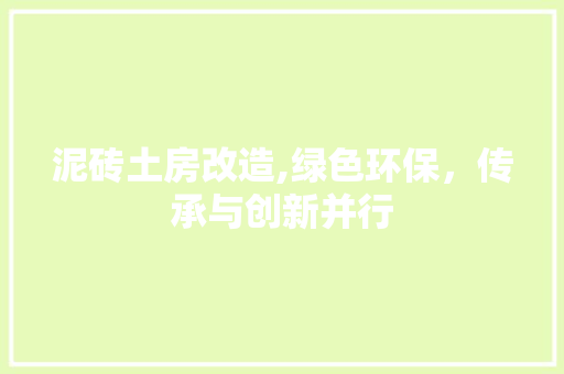泥砖土房改造,绿色环保，传承与创新并行
