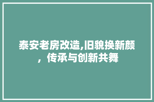 泰安老房改造,旧貌换新颜，传承与创新共舞