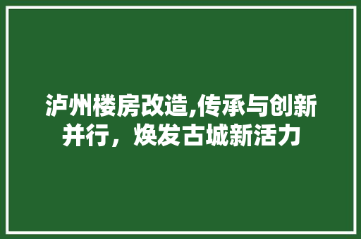 泸州楼房改造,传承与创新并行，焕发古城新活力