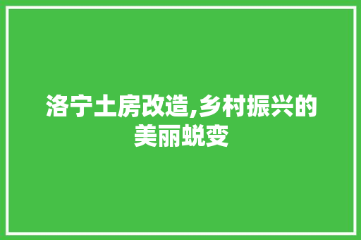 洛宁土房改造,乡村振兴的美丽蜕变 景观设计