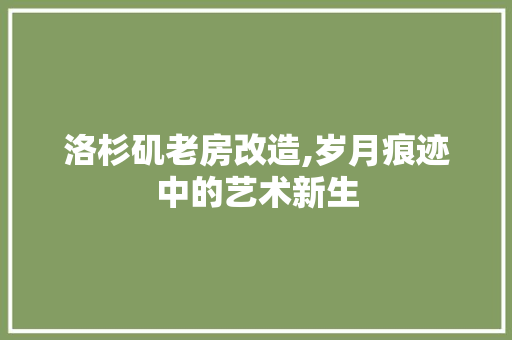 洛杉矶老房改造,岁月痕迹中的艺术新生