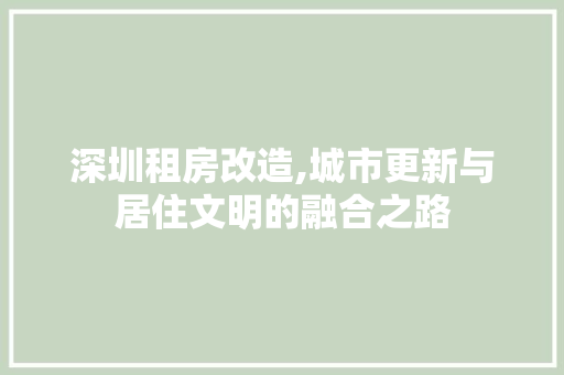 深圳租房改造,城市更新与居住文明的融合之路 装修攻略
