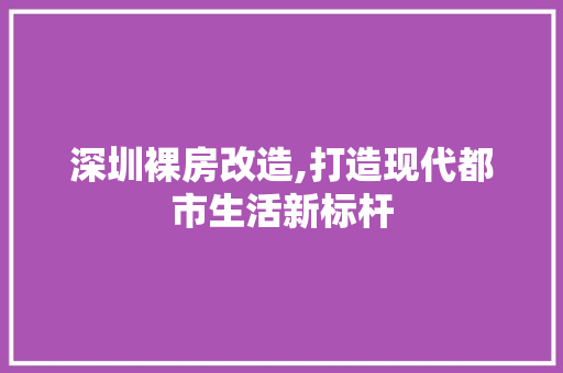 深圳裸房改造,打造现代都市生活新标杆 门窗装修