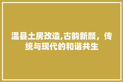 温县土房改造,古韵新颜，传统与现代的和谐共生 建筑设计