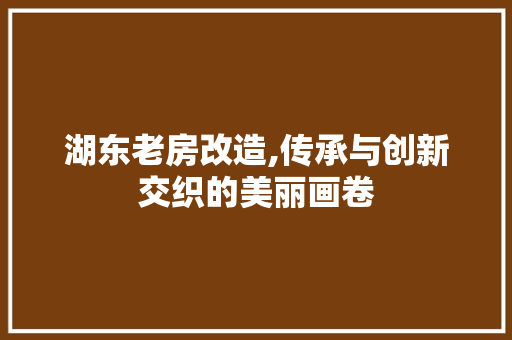 湖东老房改造,传承与创新交织的美丽画卷 装修攻略