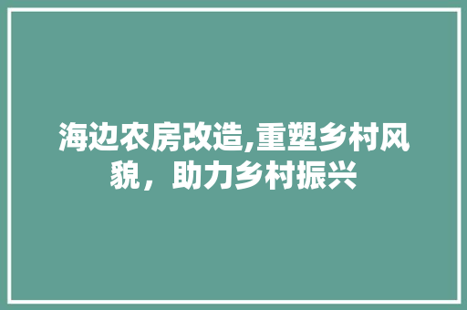 海边农房改造,重塑乡村风貌，助力乡村振兴
