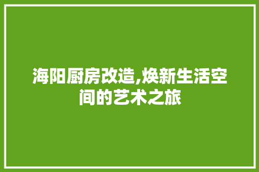 海阳厨房改造,焕新生活空间的艺术之旅 装修攻略