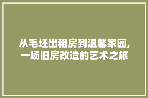 从毛坯出租房到温馨家园,一场旧房改造的艺术之旅