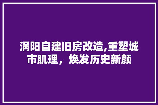 涡阳自建旧房改造,重塑城市肌理，焕发历史新颜
