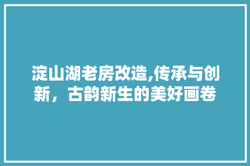 淀山湖老房改造,传承与创新，古韵新生的美好画卷