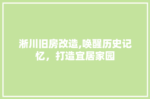 淅川旧房改造,唤醒历史记忆，打造宜居家园