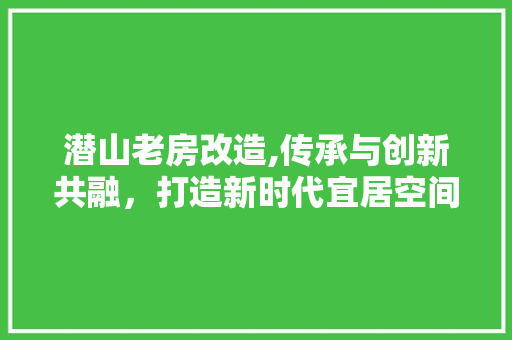 潜山老房改造,传承与创新共融，打造新时代宜居空间 景观设计