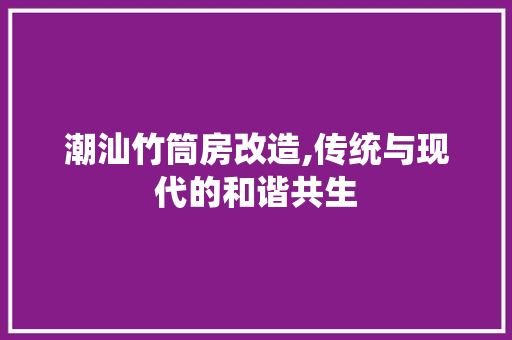 潮汕竹筒房改造,传统与现代的和谐共生 墙面装饰