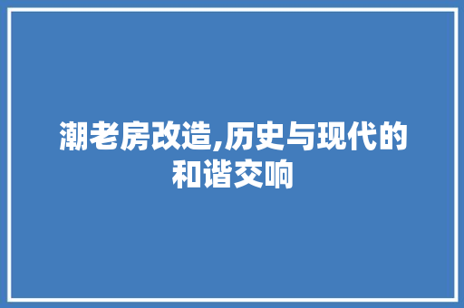 潮老房改造,历史与现代的和谐交响 地面装修