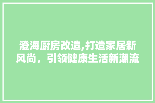 澄海厨房改造,打造家居新风尚，引领健康生活新潮流