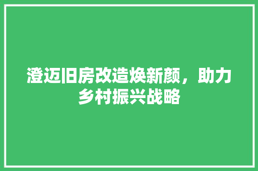 澄迈旧房改造焕新颜，助力乡村振兴战略