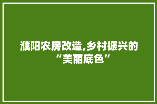 濮阳农房改造,乡村振兴的“美丽底色” 景观设计 濮阳农房改造,乡村振兴的“美丽底色” 景观设计