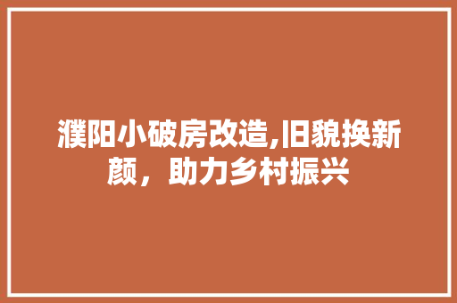 濮阳小破房改造,旧貌换新颜，助力乡村振兴 门窗装修