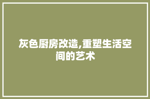 灰色厨房改造,重塑生活空间的艺术 装修攻略