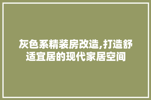 灰色系精装房改造,打造舒适宜居的现代家居空间