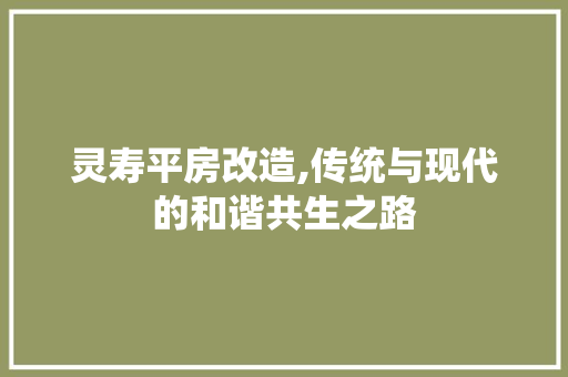 灵寿平房改造,传统与现代的和谐共生之路 隔断设计