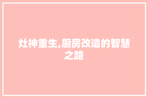 灶神重生,厨房改造的智慧之路 建筑设计