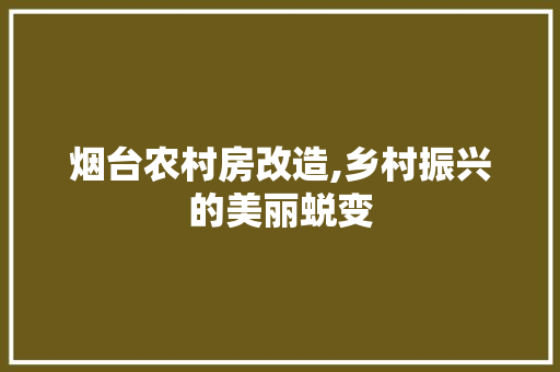 烟台农村房改造,乡村振兴的美丽蜕变