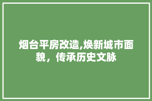 烟台平房改造,焕新城市面貌，传承历史文脉