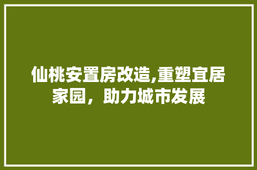 仙桃安置房改造,重塑宜居家园，助力城市发展 墙面装饰