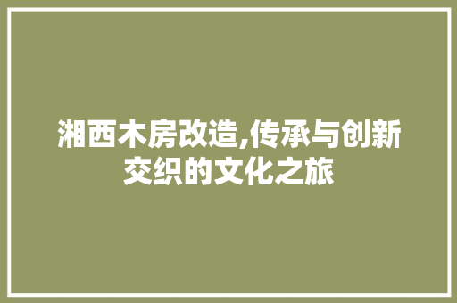 湘西木房改造,传承与创新交织的文化之旅 门窗装修