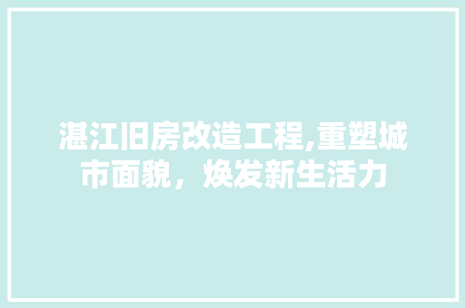 湛江旧房改造工程,重塑城市面貌，焕发新生活力