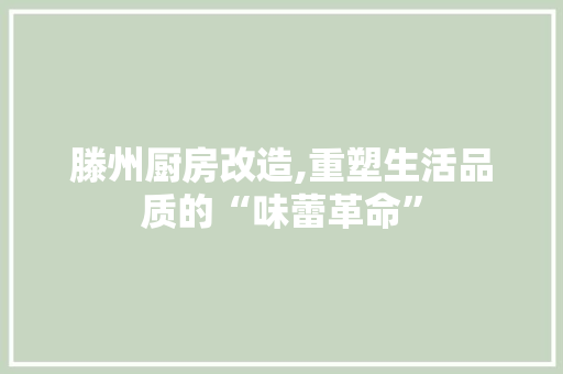 滕州厨房改造,重塑生活品质的“味蕾革命” 建筑设计