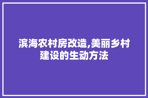 滨海农村房改造,美丽乡村建设的生动方法